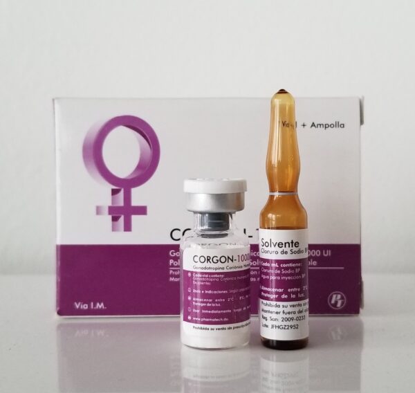 CORGON HCG 10000iu x 1 amp + 1 solvent 10ml (Chorionic Gonadotropina)